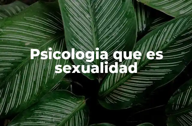 Psicologia que es Sexualidad 2 El papel de la psicología en la comprensión de la identidad sexual