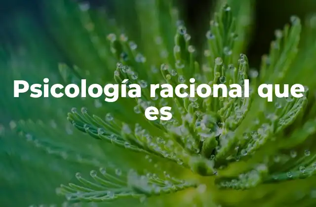 Psicología Racional que es 2 El enfoque práctico de la psicología racional