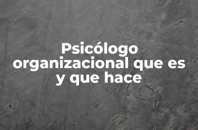 Psicólogo Organizacional que es y que Hace