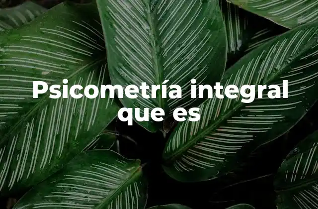 Psicometría Integral que es
