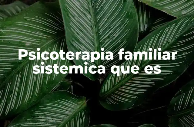 Psicoterapia Familiar Sistemica que es
