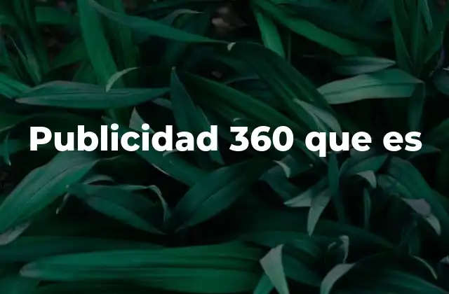 Publicidad 360 que es