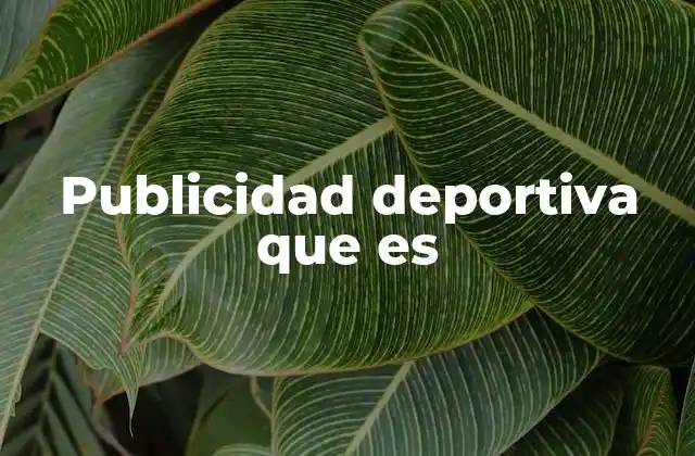 Publicidad Deportiva que es 2 El poder del deporte como herramienta de marketing
