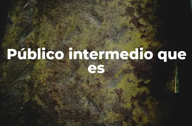Público Intermedio que es