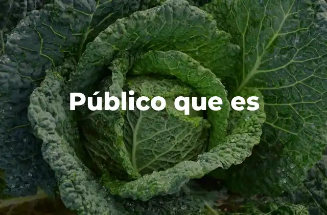 Público que es
