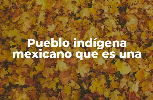 Pueblo Indígena Mexicano que es una