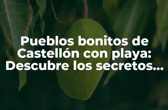 Pueblos Bonitos de Castellón con Playa: Descubre los Secretos de la Costa Del Azahar