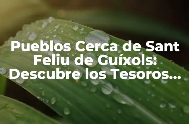 Pueblos Cerca de Sant Feliu de Guíxols: Descubre los Tesoros Ocultos de la Costa Brava