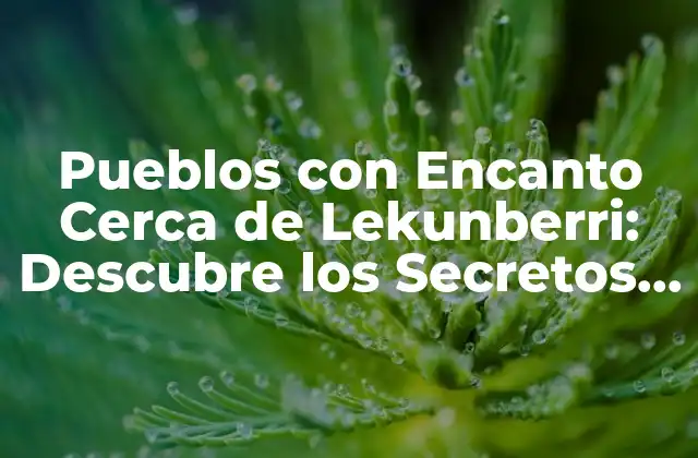 Pueblos con Encanto Cerca de Lekunberri: Descubre los Secretos de la Rioja Alavesa