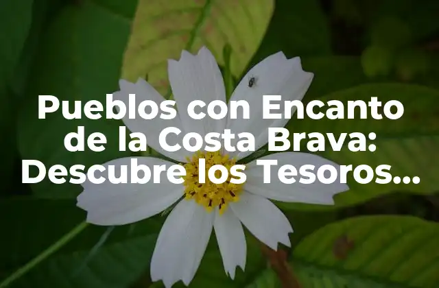 Pueblos con Encanto de la Costa Brava: Descubre los Tesoros Escondidos