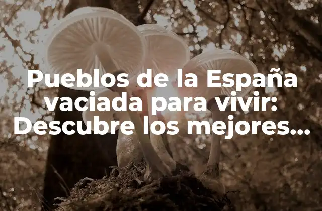 Pueblos de la España Vaciada para Vivir: Descubre los Mejores Lugares para Empezar de Cero