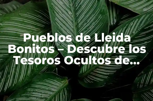 Pueblos de Lleida Bonitos – Descubre los Tesoros Ocultos de Cataluña