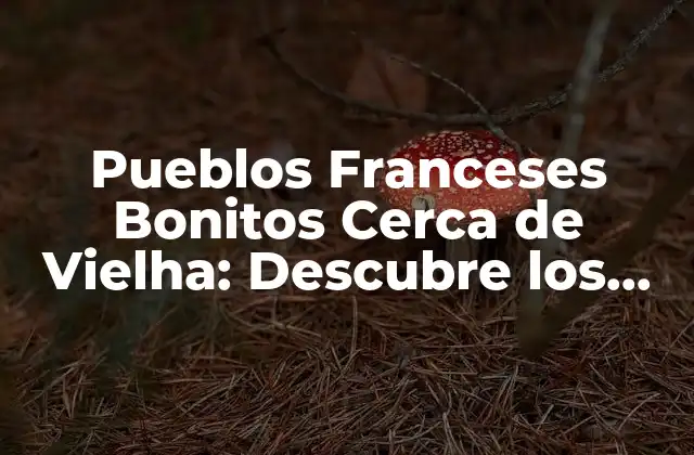 Pueblos Franceses Bonitos Cerca de Vielha: Descubre los Tesoros Del Pirineo