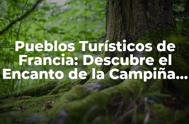 Pueblos Turísticos de Francia: Descubre el Encanto de la Campiña Francesa