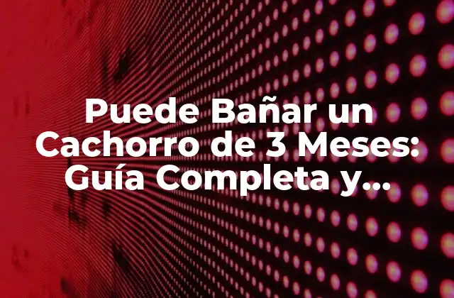 Puede Bañar un Cachorro de 3 Meses: Guía Completa y Segura