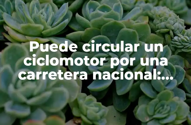 Puede Circular un Ciclomotor por una Carretera Nacional: Reglas y Restricciones