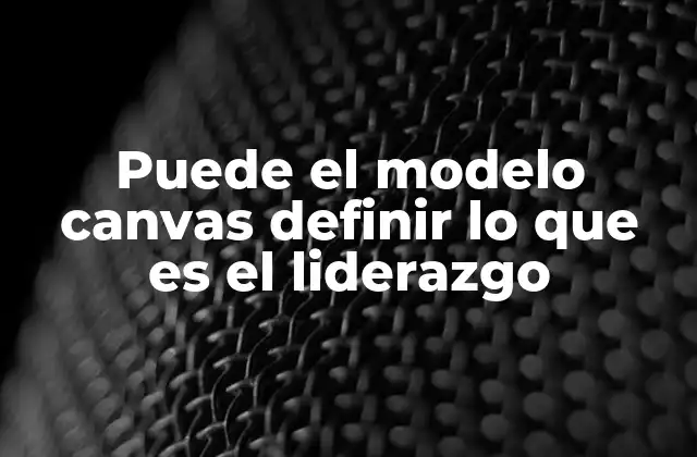 Puede el Modelo Canvas Definir Lo que es el Liderazgo