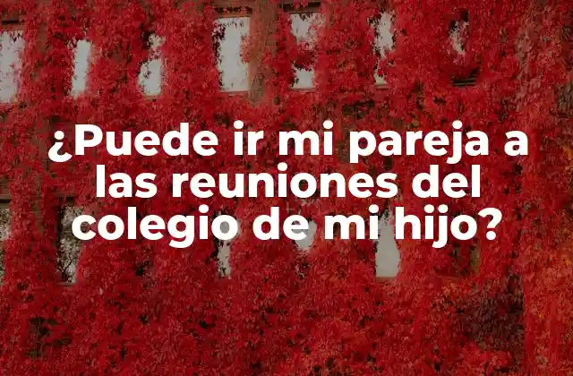 ¿puede Ir Mi Pareja a las Reuniones Del Colegio de Mi Hijo?