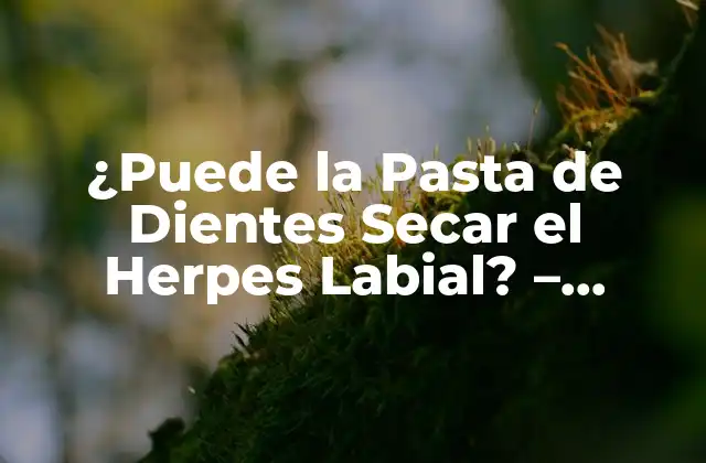 ¿puede la Pasta de Dientes Secar el Herpes Labial? - Verdades y Mitos 2 ¿Qué Causa el Herpes Labial?