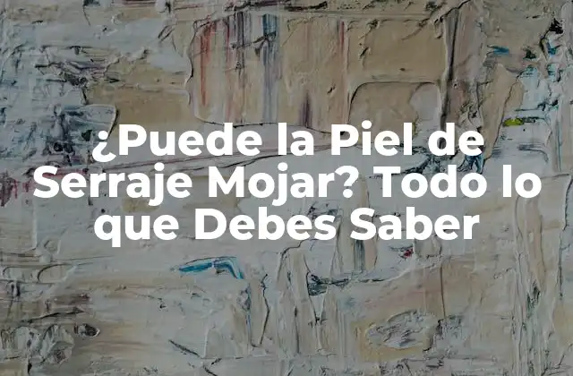 ¿puede la Piel de Serraje Mojar? Todo Lo que Debes Saber