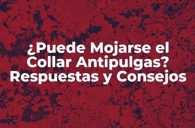 ¿puede Mojarse el Collar Antipulgas? Respuestas y Consejos