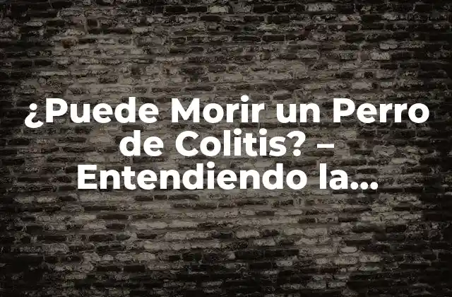 ¿puede Morir un Perro de Colitis? – Entendiendo la Enfermedad