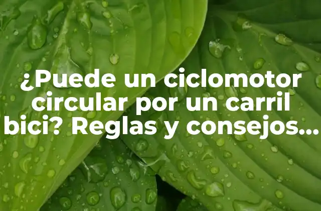 ¿puede un Ciclomotor Circular por un Carril Bici? Reglas y Consejos para Circular con Seguridad