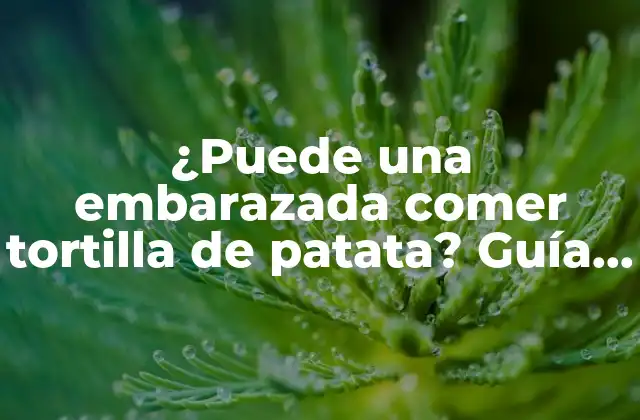 ¿puede una Embarazada Comer Tortilla de Patata? Guía Completa para Embarazadas