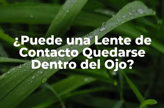¿puede una Lente de Contacto Quedarse Dentro Del Ojo?