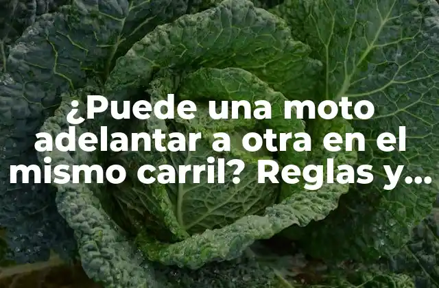 ¿puede una Moto Adelantar a Otra en el Mismo Carril? Reglas y Consejos para Conductores de Motos