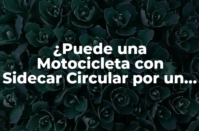 Definición de Motocicleta con Sidecar y Carril VAO