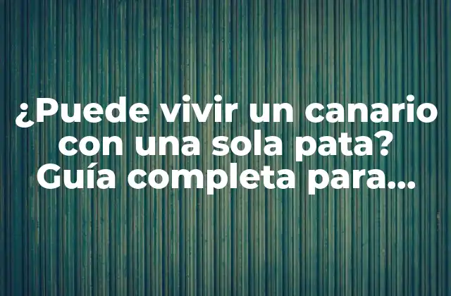¿puede Vivir un Canario con una Sola Pata? Guía Completa para Cuidar a un Canario Discapacitado