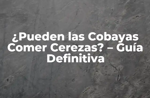 ¿pueden las Cobayas Comer Cerezas? – Guía Definitiva