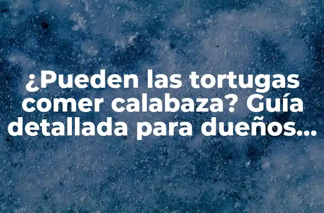 ¿pueden las Tortugas Comer Calabaza? Guía Detallada para Dueños de Tortugas