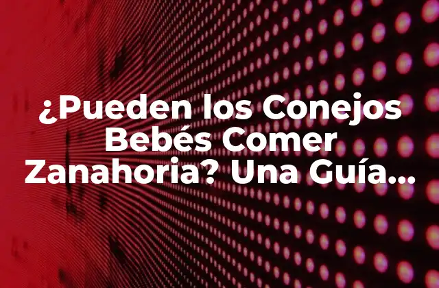 ¿pueden los Conejos Bebés Comer Zanahoria? una Guía Completamente Segura