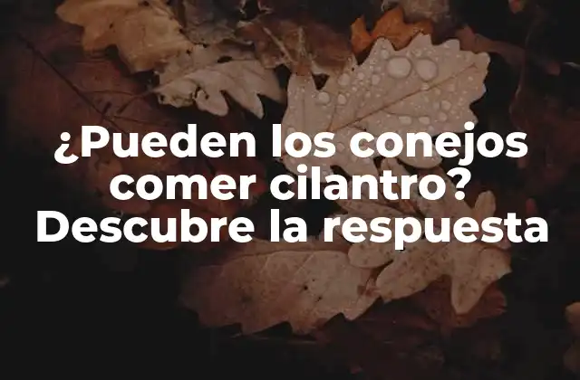 ¿pueden los Conejos Comer Cilantro? Descubre la Respuesta