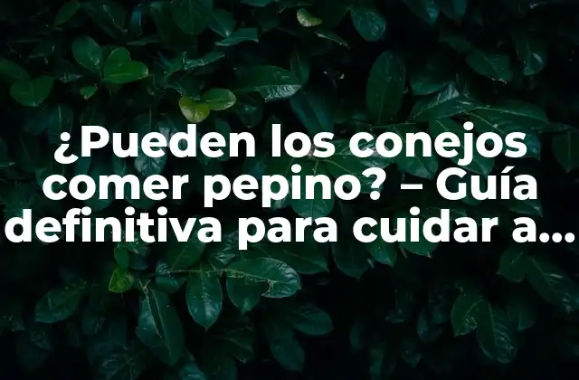 ¿pueden los Conejos Comer Pepino? – Guía Definitiva para Cuidar a Tu Conejo