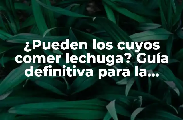 ¿pueden los Cuyos Comer Lechuga? Guía Definitiva para la Alimentación de Cuyos