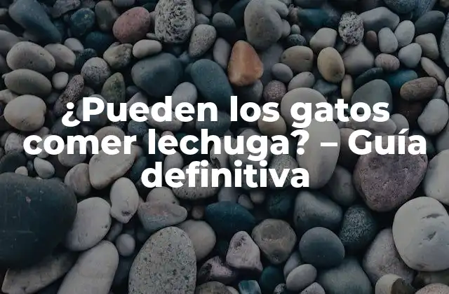 ¿pueden los Gatos Comer Lechuga? – Guía Definitiva