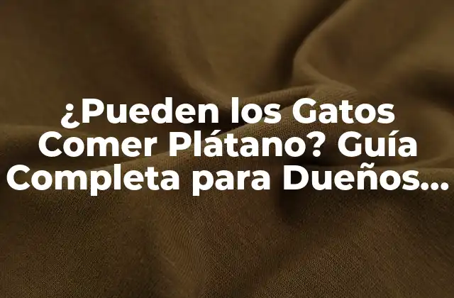 ¿pueden los Gatos Comer Plátano? Guía Completa para Dueños de Gatos 2 ¿Cuáles son los Nutrientes del Plátano?