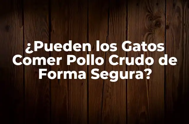 ¿pueden los Gatos Comer Pollo Crudo de Forma Segura?