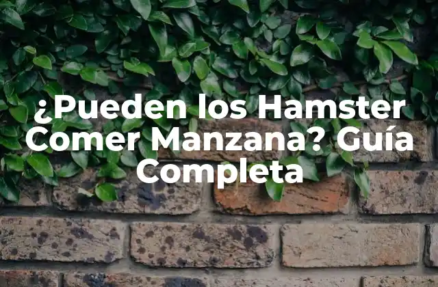 ¿pueden los Hamster Comer Manzana? Guía Completa