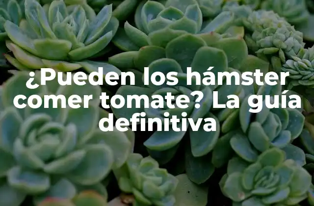 ¿pueden los Hámster Comer Tomate? la Guía Definitiva