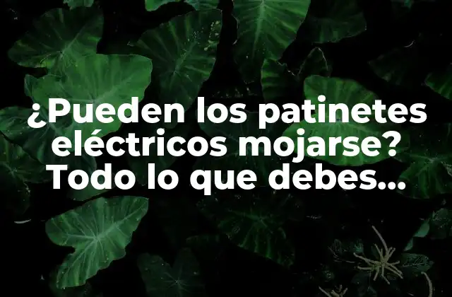 ¿Cómo funcionan los patinetes eléctricos?