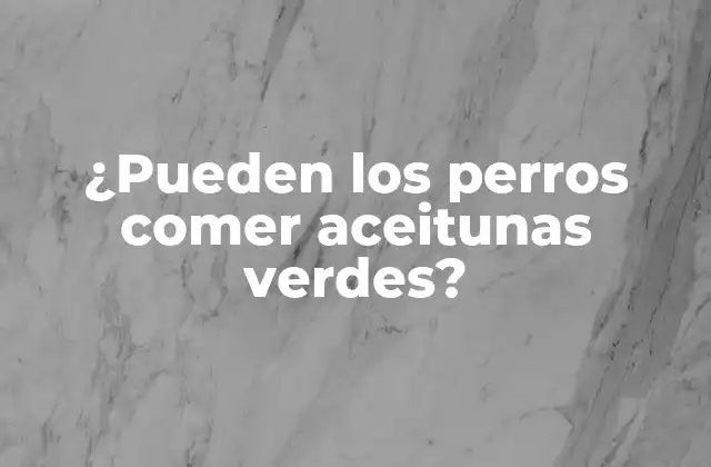 ¿pueden los Perros Comer Aceitunas Verdes? 2 ¿Qué son las aceitunas verdes y cómo se producen?
