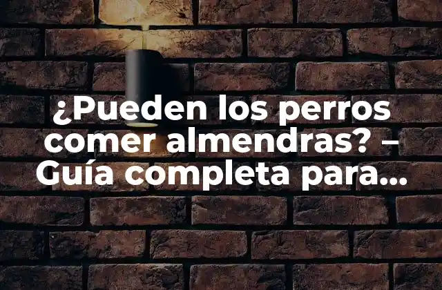 ¿pueden los Perros Comer Almendras? – Guía Completa para Dueños de Mascotas