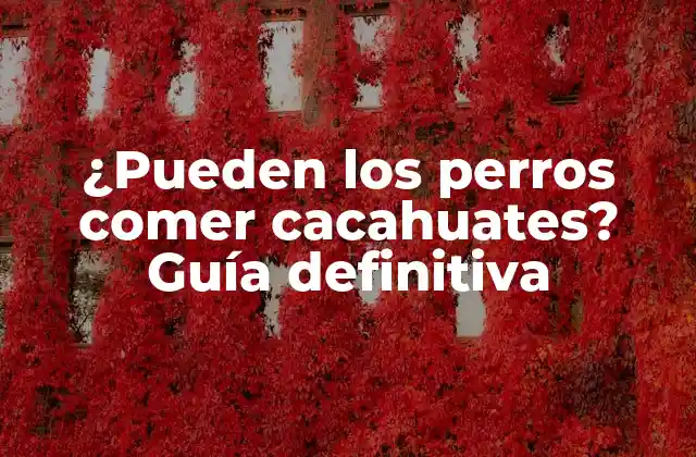 ¿pueden los Perros Comer Cacahuates? Guía Definitiva