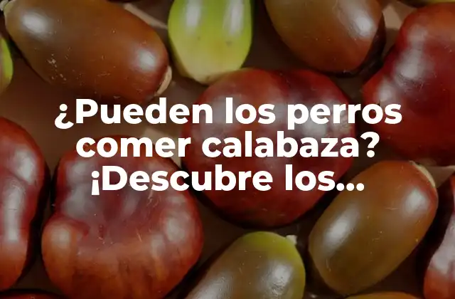 ¿pueden los Perros Comer Calabaza? ¡descubre los Beneficios y Riesgos!