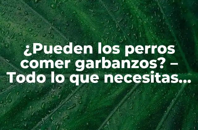 ¿pueden los Perros Comer Garbanzos? – Todo Lo que Necesitas Saber