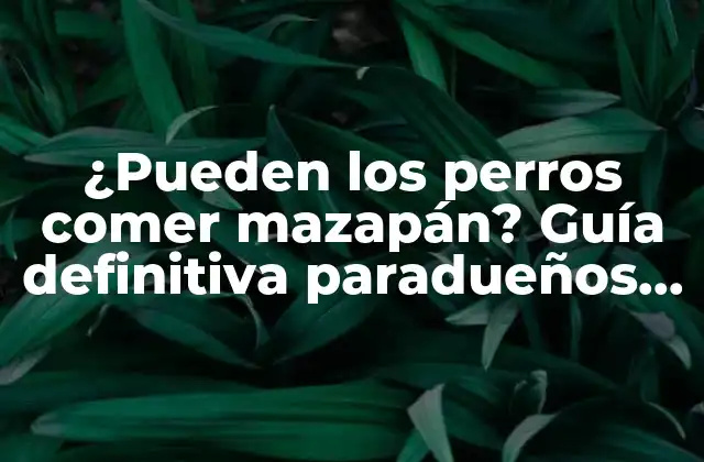 ¿pueden los Perros Comer Mazapán? Guía Definitiva Paradueños de Perros